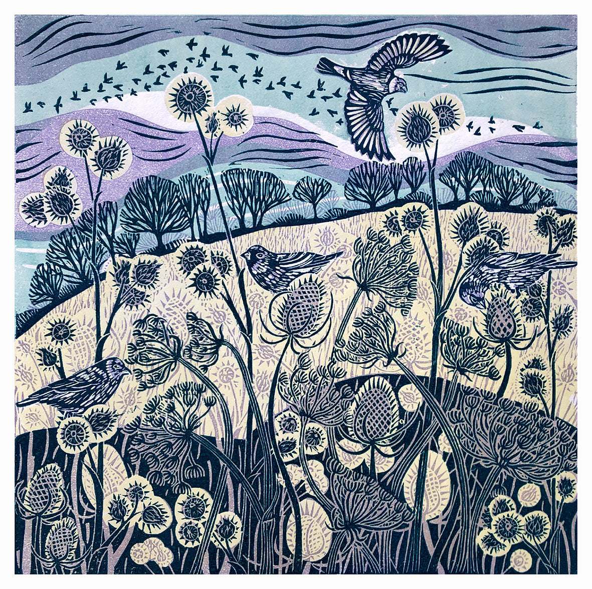 Claire Armitage