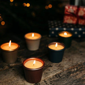 Sacred Forest, Christmas Stardust Pot