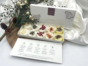 Winter Wax Melt Discovery Collection Gift Box