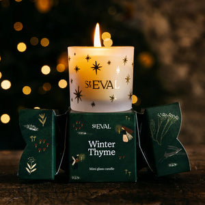 Winter Thyme, Christmas Cracker