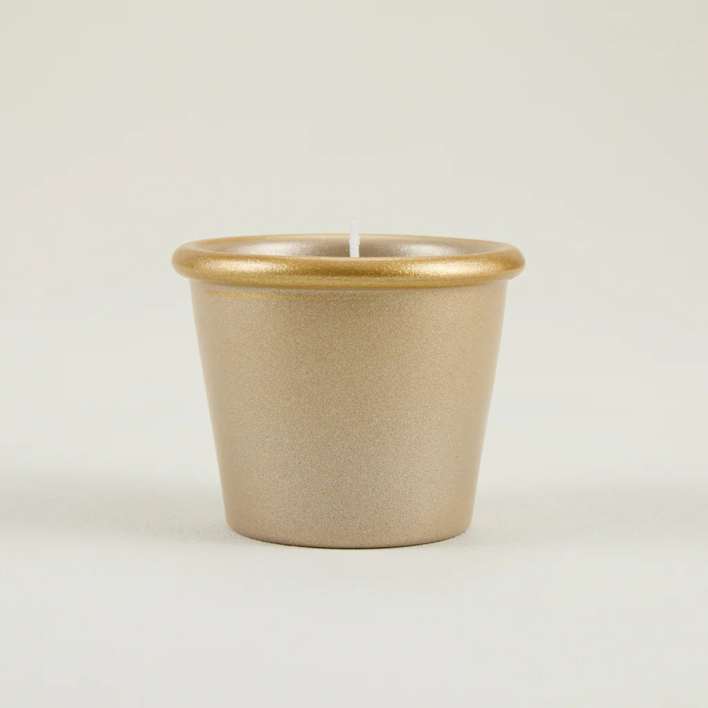 Sacred Forest, Christmas Stardust Pot