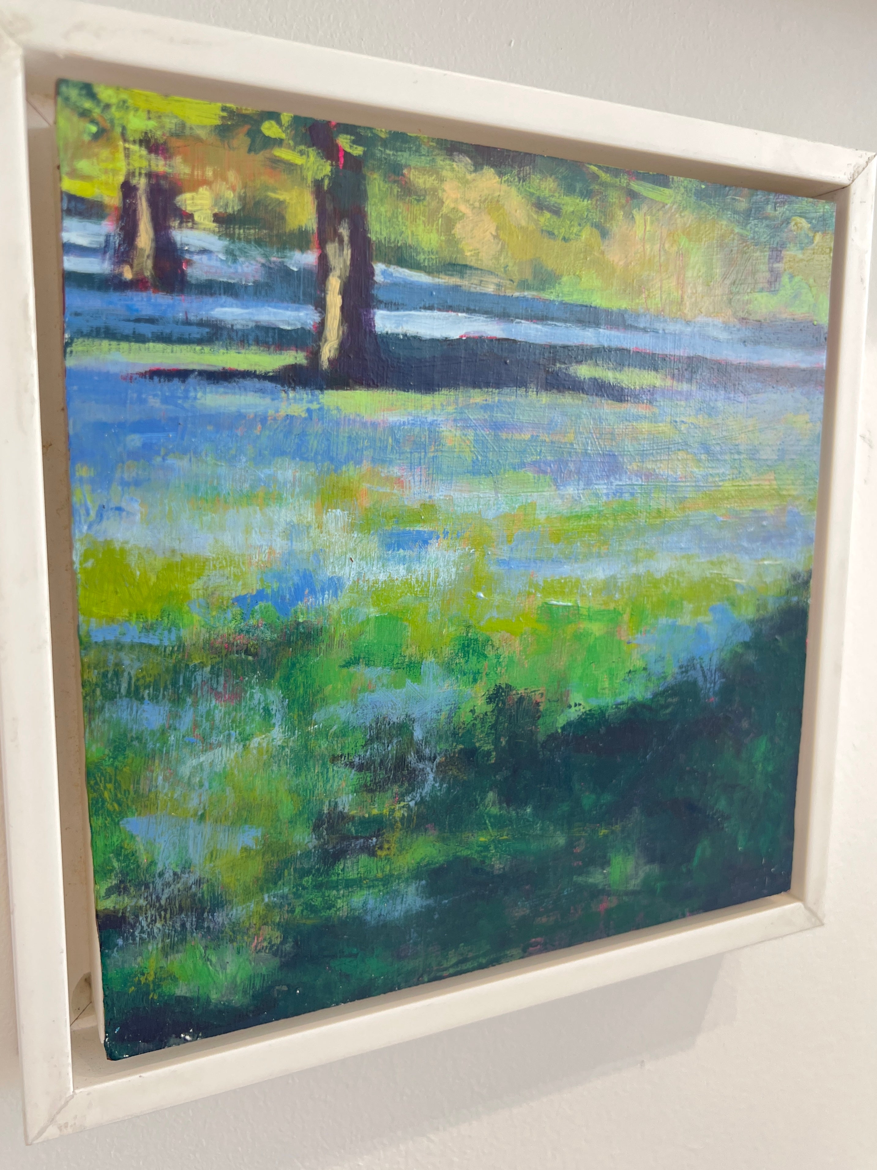 “Enys Gardens”