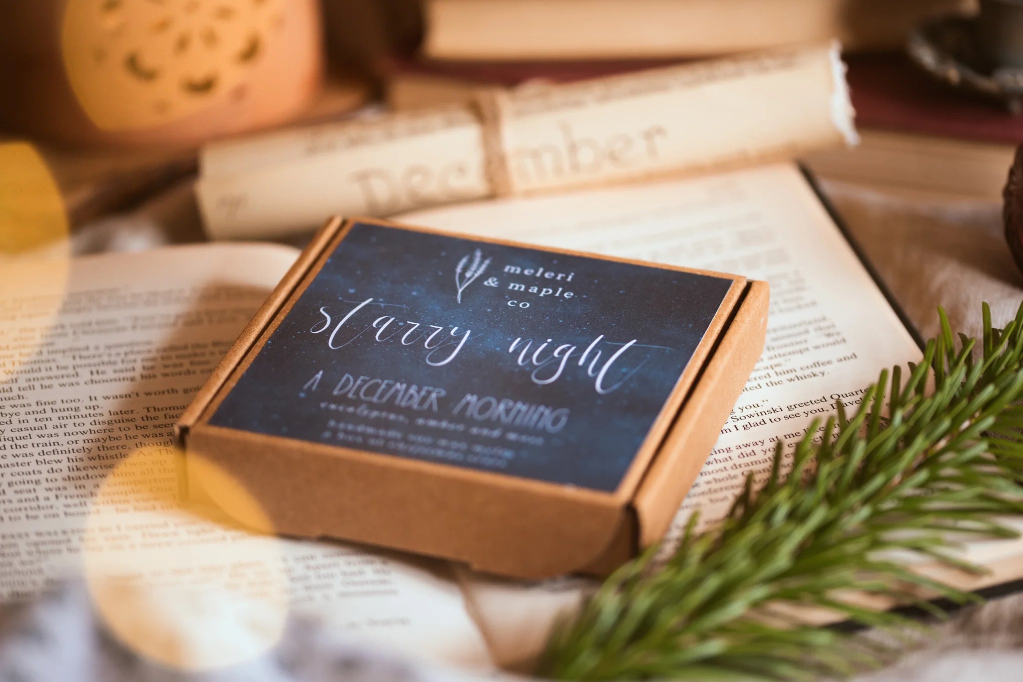 Meleri & Maple Co - Starry Night - A Box of Christmas Star Wax Melts