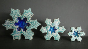 Perry Marsh Snowflakes